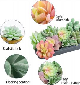 img 2 attached to 12 Pcs Unpotted Faux Succulent Plants - Small Plastic Assortment For Craft, Party Decor & Garden Outdoor