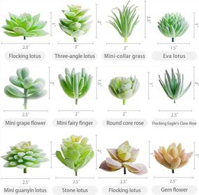 img 3 attached to 12 Pcs Unpotted Faux Succulent Plants - Small Plastic Assortment For Craft, Party Decor & Garden Outdoor