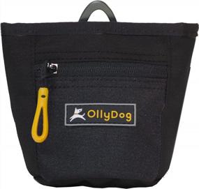img 4 attached to OllyDog Goodie Treat Bag, Dog Treat Pouch, Waist Belt Clip For Hands-Free Training, Magnetic Closure, Dog Training And Behavior Aids, Three Ways To Wear, (Raven)