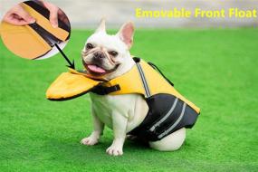 img 1 attached to 🏊 Premium French Bulldog Life Jacket - Ultimate Safety Vest for Swimming with Rescue Handle, Ideal for Chest Girth: 17"-30" & Weight: 17-28LB