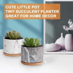 img 1 attached to Stylish And Practical Ceramic Succulent Planters With Drainage Tray - Set Of 4 By DeeCoo