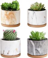 stylish and practical ceramic succulent planters with drainage tray - set of 4 by deecoo logo