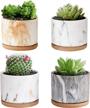 stylish and practical ceramic succulent planters with drainage tray - set of 4 by deecoo logo