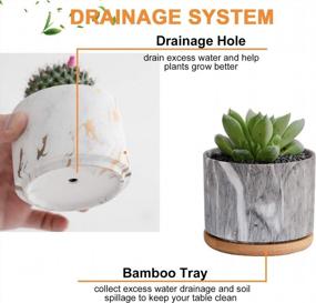 img 2 attached to Stylish And Practical Ceramic Succulent Planters With Drainage Tray - Set Of 4 By DeeCoo