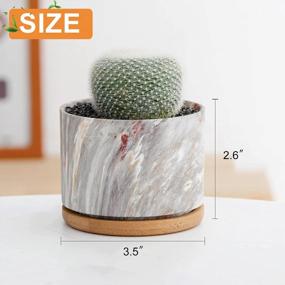 img 3 attached to Stylish And Practical Ceramic Succulent Planters With Drainage Tray - Set Of 4 By DeeCoo