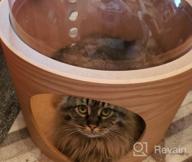img 1 attached to Transform Your Pet'S Space With MYZOO Spaceship Gamma: The Ultimate Window Perch And Cat Tree Made Of Oak Wood review by Zachary Caldwell
