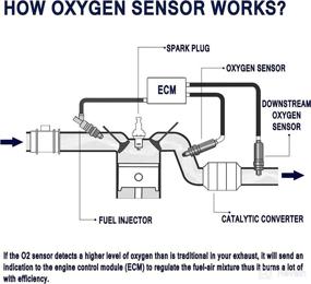 img 1 attached to HiSport Oxygen Sensor 234 9051 Compatible