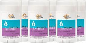 img 4 attached to Luxurious Earth Science Lavender Deodorant: All-Natural Protection in Every Ounce