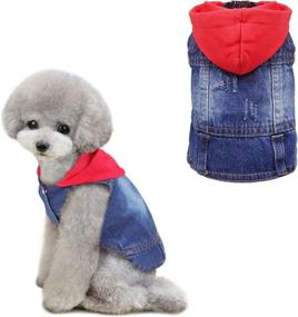 img 4 attached to 🐶 QTART Small Dog Denim Hoodie Sweater, Cute Pet Apparel for Boy Girl Puppy, Dogs Sweaters Chihuahua Sweatshirt, Yorkie, French Bulldog, Dachshund, XS, Red