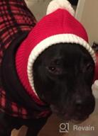 img 1 attached to Warm And Festive: X-Large Red Christmas Dog Hat Costume For Golden Retrievers And Labradors review by Caleb Bennett
