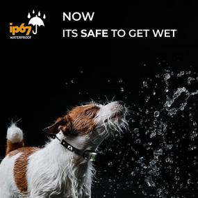 img 1 attached to 🐶 INVIROX Dog Shock Collar 2022 Edition: 123 Level Training, 1100Yd Range, Waterproof & Rechargeable for Large Dogs