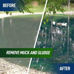 img 3 attached to 🌿 Super Concentrated Pond Cleaner - Reduces Muck & Sludge for a Clean, Natural Look - Enzymes Treat Up to 1 Acre Water Features, Lake - Safe for Fish and Wildlife (32 oz) - Pair with Dye for Enhanced Results