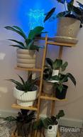 img 1 attached to 🌿 Bamboo 5-Tier Potted Plant Stand Rack - Multiple Flower Pot Holder Shelf - Indoor Outdoor Planter Display Shelving Unit for Patio, Garden, Corner, Balcony, Living Room review by Emmanuel Winschel