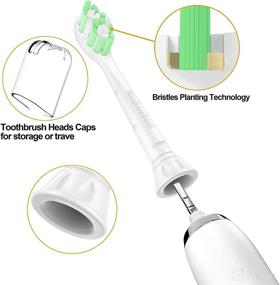 img 2 attached to Toothbrush Replacement Heads Philips Sonicare Oral Care ~ Toothbrushes & Accessories