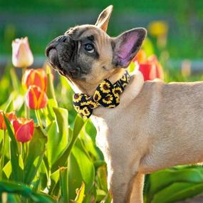 img 3 attached to 🌻 Compernee Sunflower Printed Bowtie Dog Collar - Heavy Duty Adjustable Cute Cat & Dog Bow Tie Collar with Removable Bows - Soft Collars for Pets