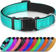 high-quality joytale reflective dog collar: soft neoprene padded, breathable nylon collar with adjustable fit for large dogs in teal логотип