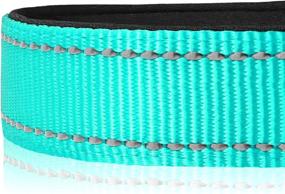img 1 attached to High-Quality Joytale Reflective Dog Collar: Soft Neoprene Padded, Breathable Nylon Collar With Adjustable Fit For Large Dogs In Teal