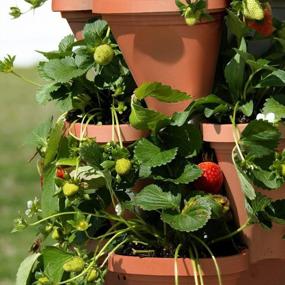 img 1 attached to Coadura Stackable Planter 3 Tier Vertical Planters For Outdoor Plants, Stacking Garden Pots - Used For Strawberries Herbs Peppers Flowers And Succulents