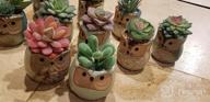 img 1 attached to 12 Pcs Unpotted Faux Succulent Plants - Small Plastic Assortment For Craft, Party Decor & Garden Outdoor review by Daionte Simpson