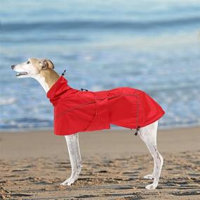 img 3 attached to 🌧️ Keep Your Greyhound Lurcher or Whippet Dry and Safe with our Rainproof Coat – Ideal for Autumn and Winter