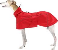 🌧️ keep your greyhound lurcher or whippet dry and safe with our rainproof coat – ideal for autumn and winter логотип