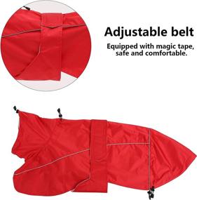 img 1 attached to 🌧️ Keep Your Greyhound Lurcher or Whippet Dry and Safe with our Rainproof Coat – Ideal for Autumn and Winter