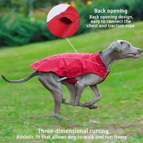 img 1 attached to 🐾 FamilyQL Red Dog Jacket - Water-Resistant, Windproof, Reflective Trim, Warm Fleece Lined - Anti-Tear, Adjustable Outdoor Dog Coat - Suitable for Small, Medium, Large, and Extra Large Dogs