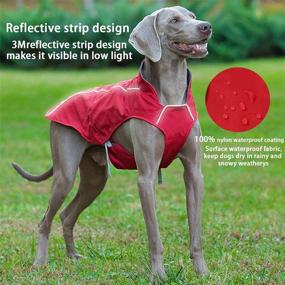 img 2 attached to 🐾 FamilyQL Red Dog Jacket - Water-Resistant, Windproof, Reflective Trim, Warm Fleece Lined - Anti-Tear, Adjustable Outdoor Dog Coat - Suitable for Small, Medium, Large, and Extra Large Dogs