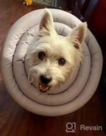 img 1 attached to Water-Resistant Soft UFO Pet Recovery Collar For Small And Medium Dogs And Cats After Surgery - Safe Alternative Cone With Adjustable Neck Donut In Navy (Small) review by Bill Wasson