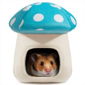 img 4 attached to Cozy Blue Mushroom Small Pet Bed For Dutch Pigs, Hamsters, Hedgehogs, Rats, Chinchillas, And Guinea Pigs By Hollypet