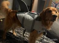 img 1 attached to Large Pink Surblue Dog Life Jacket: Pet Safety For Swimming, Boating & Beach Trips review by Aaron Webb
