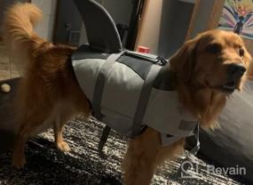 img 6 attached to Большой розовый спасательный жилет для собак Surblue: безопасность домашних животных для плавания, катания на лодках и пляжных прогулок