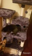 img 1 attached to 🐱 Ultimate Cat Playground: BEWISHOME Cat Tree with Scratching Posts, Condos, Perches, Balls, Hammock – Brown MMJ01Z review by Kenny Loeslein