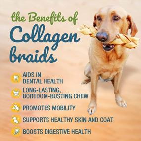 img 3 attached to Boost Your Dog'S Health With Pawstruck Beef Collagen Sticks - The Ultimate Rawhide Alternative Treats With Chondroitin & Glucosamine