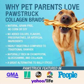 img 2 attached to Boost Your Dog'S Health With Pawstruck Beef Collagen Sticks - The Ultimate Rawhide Alternative Treats With Chondroitin & Glucosamine