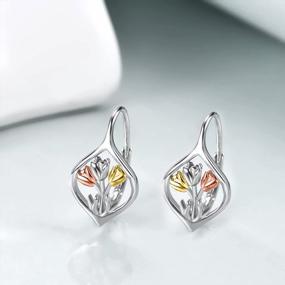 img 1 attached to Stylish And Elegant WINNICACA Sterling Silver Leverback Earrings For Women