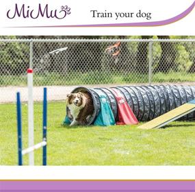 img 2 attached to MiMu Full Length Dog Agility Training Equipment Kit - 5-Foot Tunnel, 8 Weave Poles, 1 Jump