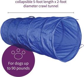 img 3 attached to MiMu Full Length Dog Agility Training Equipment Kit - 5-Foot Tunnel, 8 Weave Poles, 1 Jump