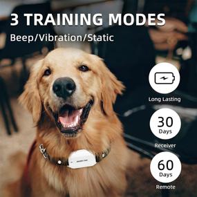 img 3 attached to 👑 Crown Paw Rechargeable Dog Training Collar with Remote - Beep, Vibration, Shock Modes, Long Range Waterproof - Ideal for Large, Medium, and Small Dogs - Includes Free Airtag Holder