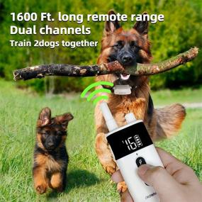 img 2 attached to 👑 Crown Paw Rechargeable Dog Training Collar with Remote - Beep, Vibration, Shock Modes, Long Range Waterproof - Ideal for Large, Medium, and Small Dogs - Includes Free Airtag Holder