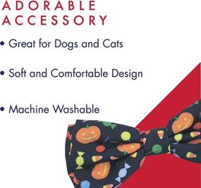 img 3 attached to 🎃 Huxley & Kent Halloween Bow Tie for Pets - Trick or Treat (Small) - Holiday Pet Bow Tie Collar Attachment - Fun Bow Ties for Dogs & Cats - Cute, Comfortable, and Durable