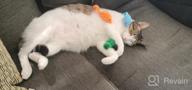img 1 attached to 16PCS Cat And Kitten Toy Assortment: Interactive Feather Teasers, Mouse Tumblers, Mylar Crinkle Balls, Bells And More - Perfect For Chewing And Playing (Random Colors) review by Edgar Clark
