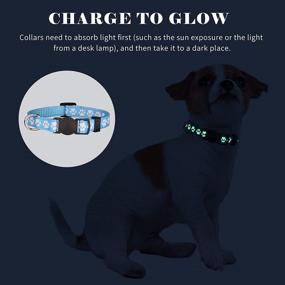 img 1 attached to 🐶 Set of 14 Puppy Collars for Litter Identification - Glow in The Dark, Whelping Accessories - Soft Nylon Breakaway Colored Collars with 2 ID Tags - Small Size (S)