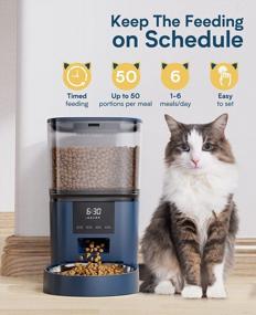 img 1 attached to Convenient & Hygienic: Oneisall Cat Water Fountain And Automatic Feeder Set For Cats & Dogs!