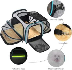 img 2 attached to 🐾 Airline Approved Pet Carrier - Expandable Soft-Sided Dog Carrier with 3 Open Doors, Reflective Tapes, Easy Travel for Cats and Dogs