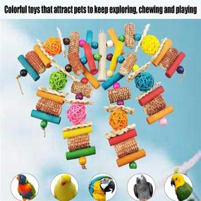 img 1 attached to 🦜 Kewkont Bird Toys: Parrot Toys for Large Birds - Natural Peppered Wood for African Grey Parrots, Macaws, Cockatoos, Amazon Parrots - Chew Toys: Aviary Hanging Toys