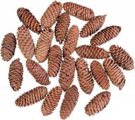 24 natural long pine cones for christmas and fall crafts - 7-9 cm pinecones for home decor by cooraby logo