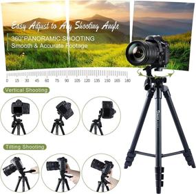 img 3 attached to 📷 Endurax 53&quot; Camera Tripod: Lightweight and Versatile for Nikon Canon DSLR Cameras, iPhone, iPad - Universal Tablet &amp; Cellphones Mount and Wireless Remote Shutter