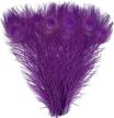 purple peacock feathers: 20 dyed 10"-12" feathers for decor, crafts, and fashion logo