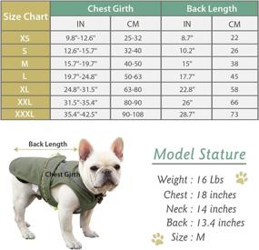 img 3 attached to MIGOHI Winter Coat for Dogs - Waterproof Reflective Jacket with Zipper Leash Hole - Adjustable and Warm Clothes for Small, Medium, and Large Breeds